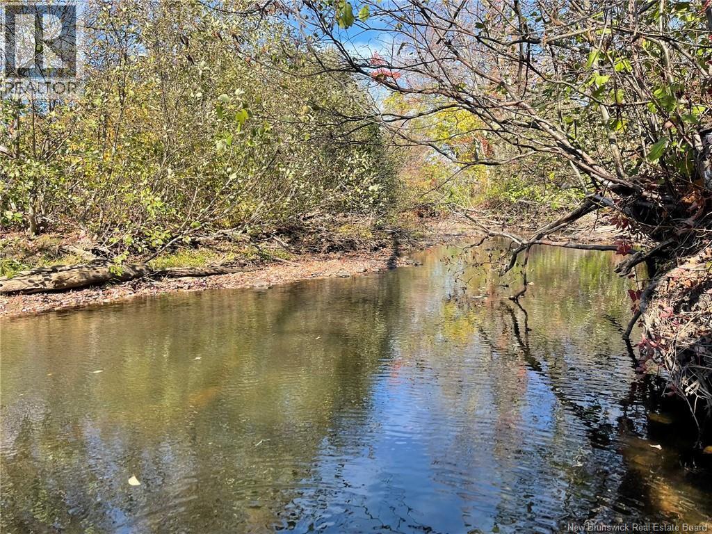 205 South Napan Road, Napan, New Brunswick  E1N 4V9 - Photo 17 - NB127897