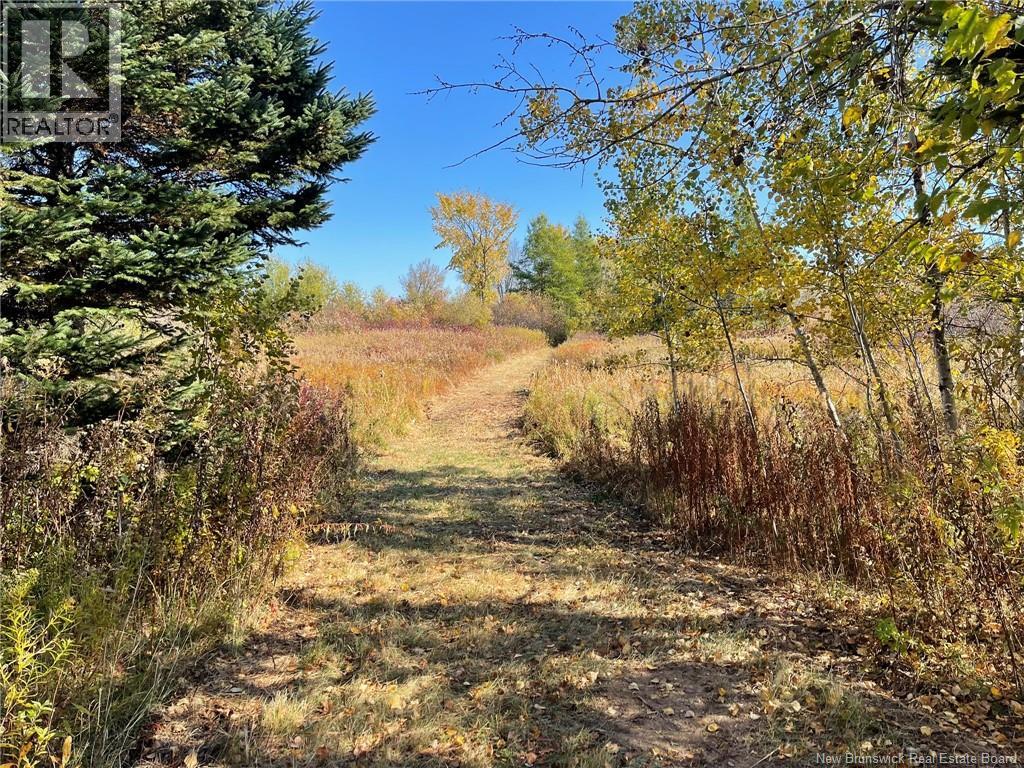 205 South Napan Road, Napan, New Brunswick  E1N 4V9 - Photo 18 - NB127897