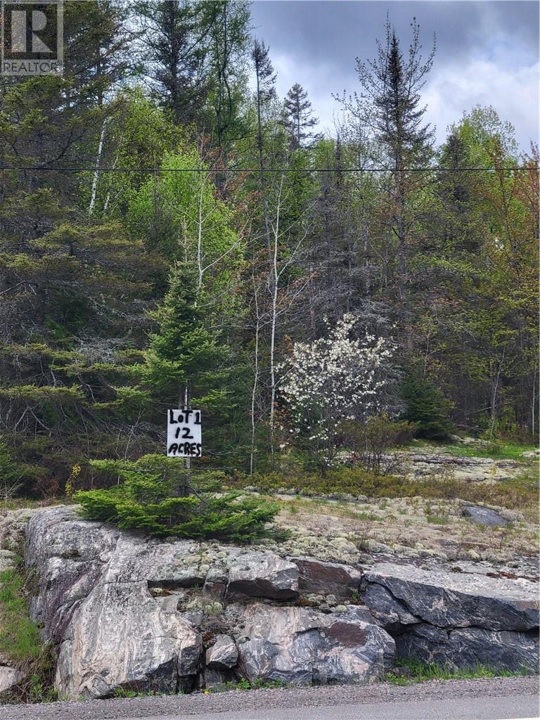 Lot 1 Hwy 535, Noelville, Ontario  P0M 2N0 - Photo 1 - 2121641