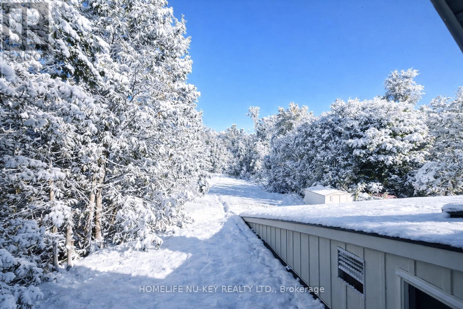 246 Mary Street, Orillia, Ontario  L3V 3E6 - Photo 3 - S12653710