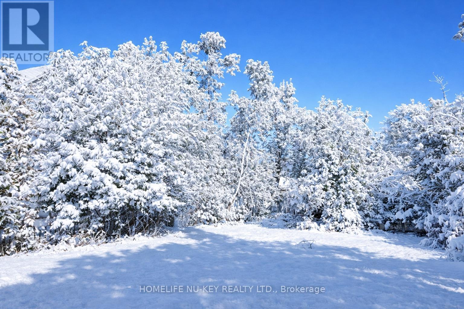 246 Mary Street, Orillia, Ontario  L3V 3E6 - Photo 5 - S12653710