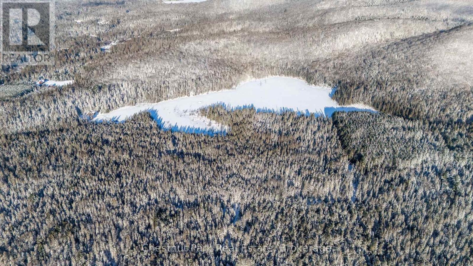 4641 518 E Highway, Kearney, Ontario  P0A 1M0 - Photo 40 - X12653738