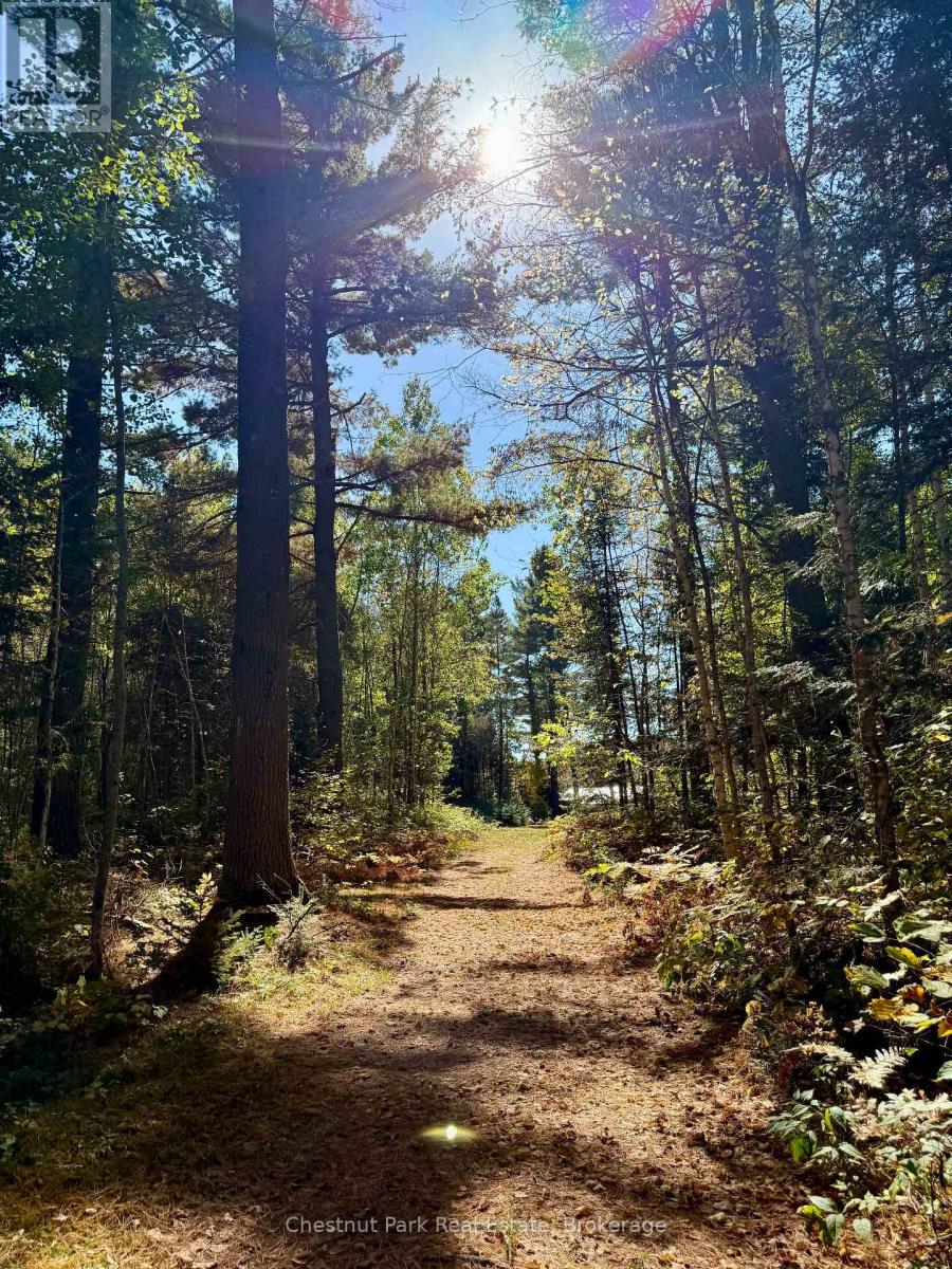 4641 518 E Highway, Kearney, Ontario  P0A 1M0 - Photo 42 - X12653738