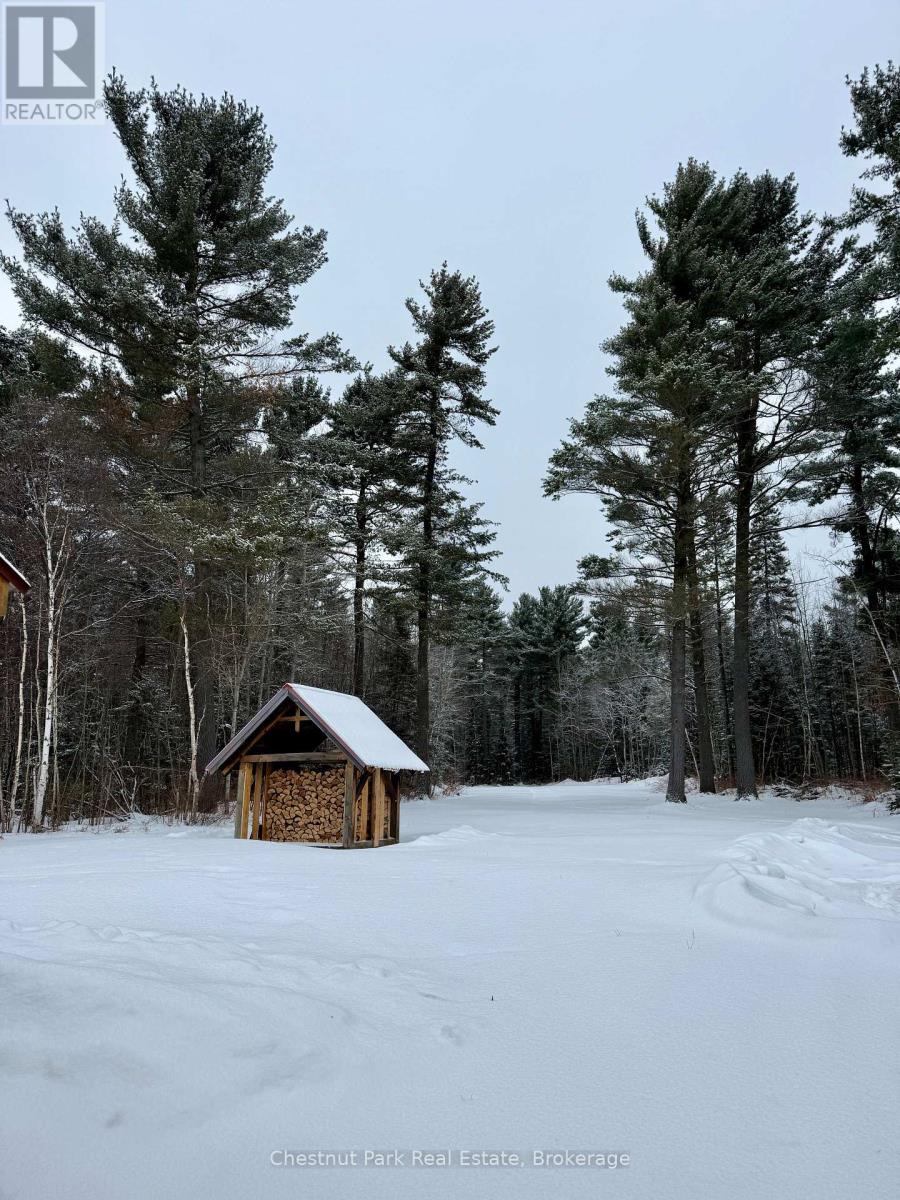 4641 518 E Highway, Kearney, Ontario  P0A 1M0 - Photo 46 - X12653738