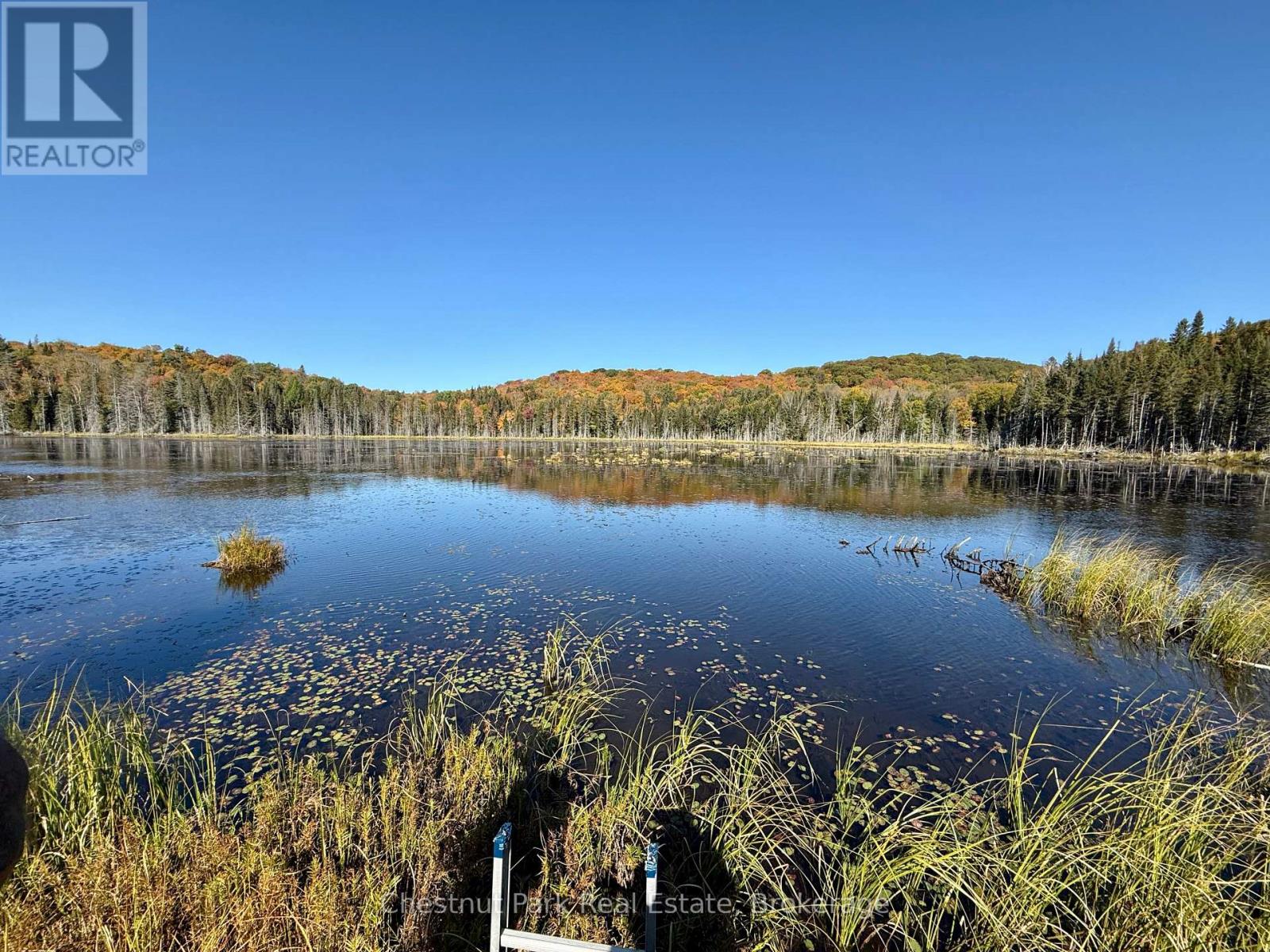 4641 518 E Highway, Kearney, Ontario  P0A 1M0 - Photo 6 - X12653738