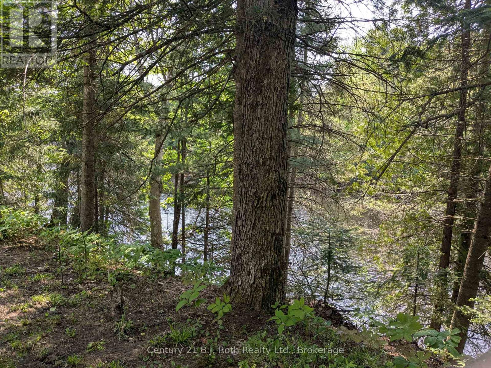 836 Lake Nipissing Road, Nipissing, Ontario  P0H 1W0 - Photo 18 - X12443770