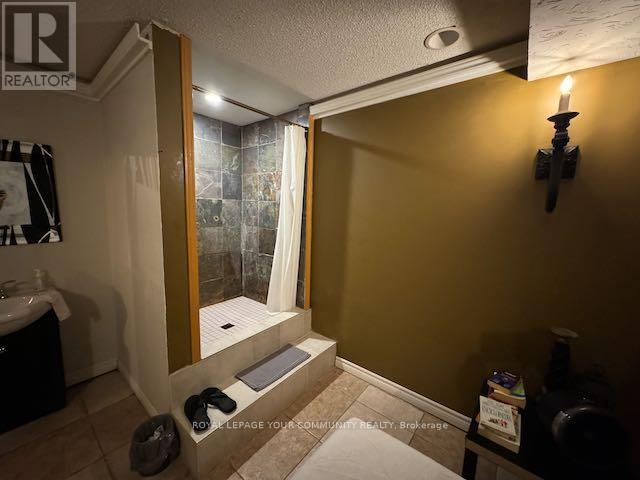 B - 245 Gerrard Street E, Toronto, Ontario  M5A 2G1 - Photo 5 - C12653768