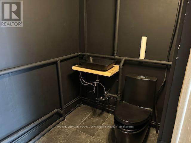 249 Gerrard Street E, Toronto, Ontario  M5A 2G1 - Photo 3 - C12653808