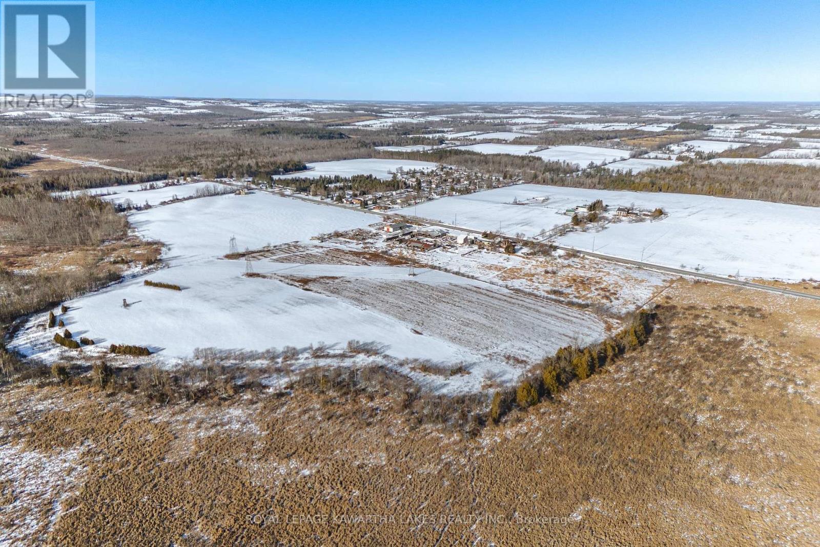 1657 Mount Pleasant Road, Cavan Monaghan, Ontario  L0A 1C0 - Photo 11 - X12653980