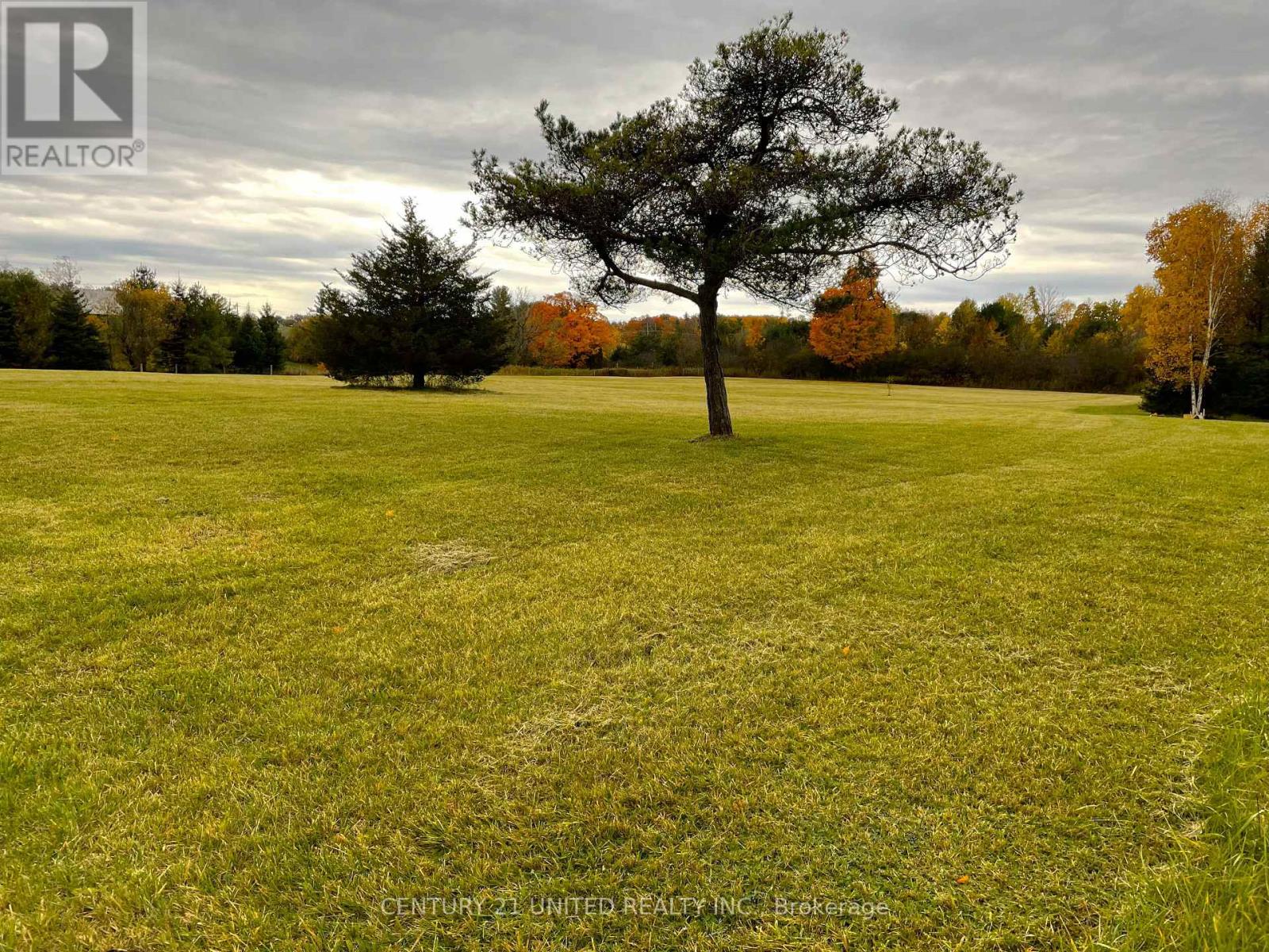 938 County Road, Cramahe, Ontario  K0K 1M0 - Photo 2 - X12654024