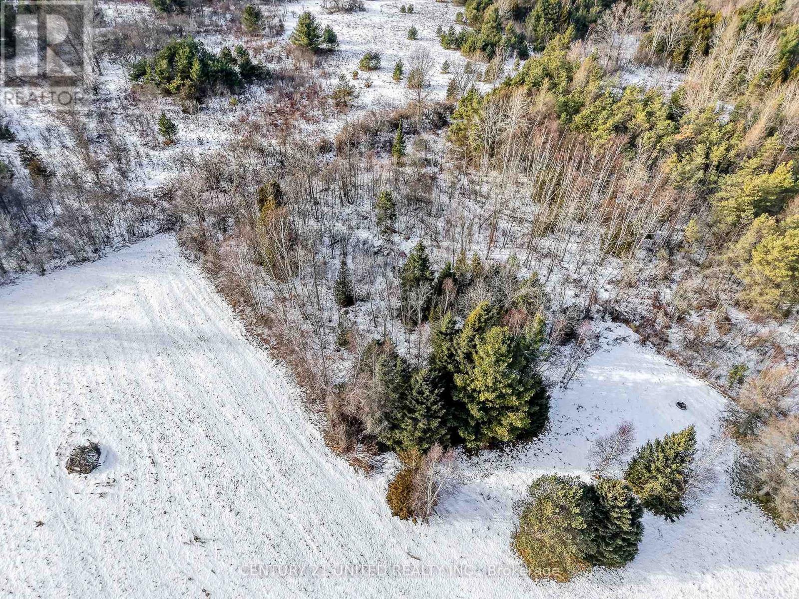 938 County Road, Cramahe, Ontario  K0K 1M0 - Photo 29 - X12654024