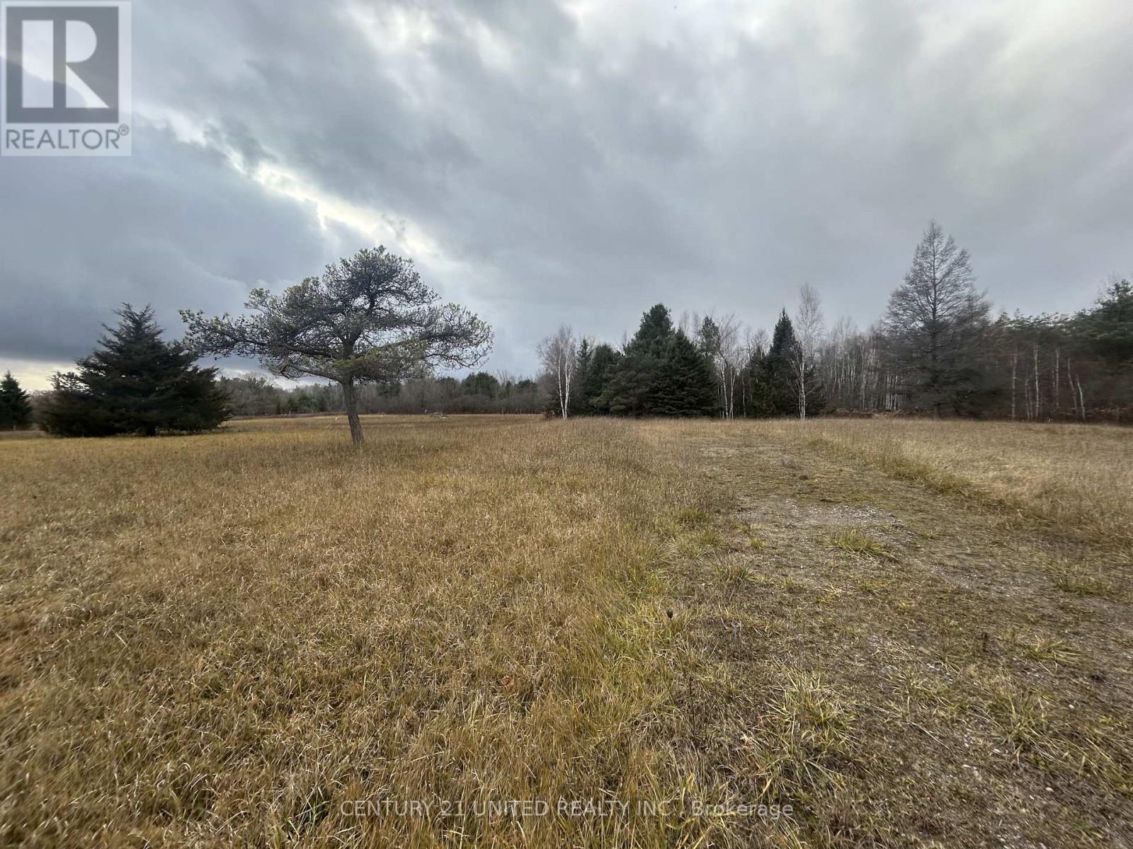 938 County Road, Cramahe, Ontario  K0K 1M0 - Photo 6 - X12654024