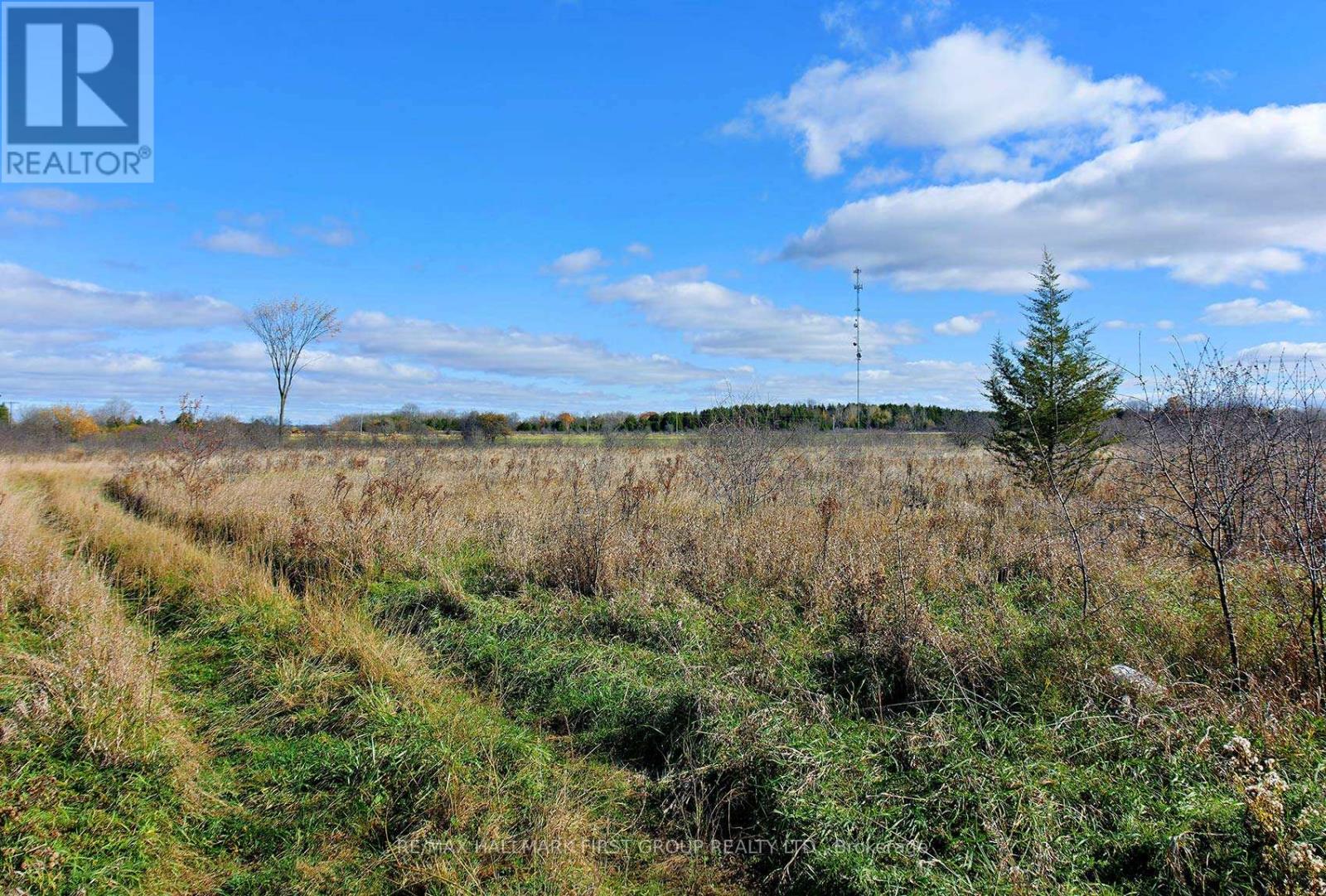0 5 Concession Road, Brock, Ontario  L0K 1A0 - Photo 10 - N12654174