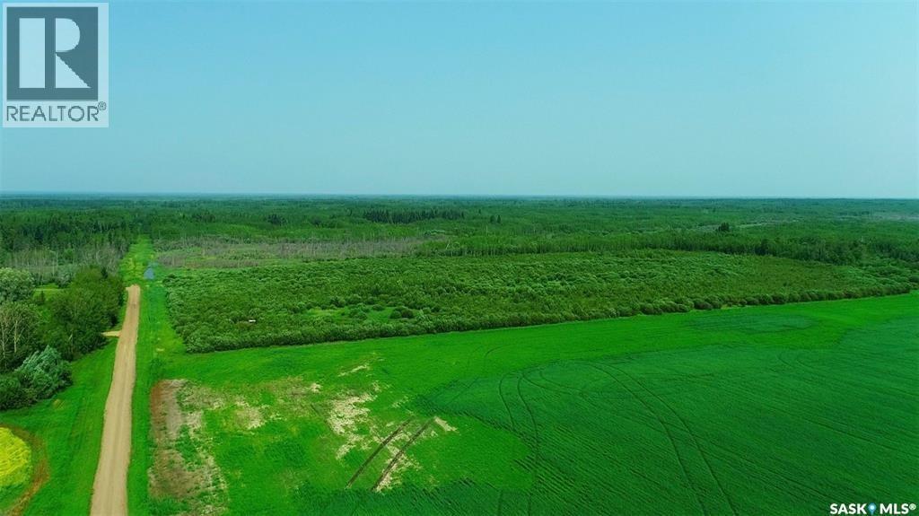 Recreational Quarter Of Land N-E Of White Fox, Torch River Rm No. 488, Saskatchewan  S0J 3B0 - Photo 11 - SK025990