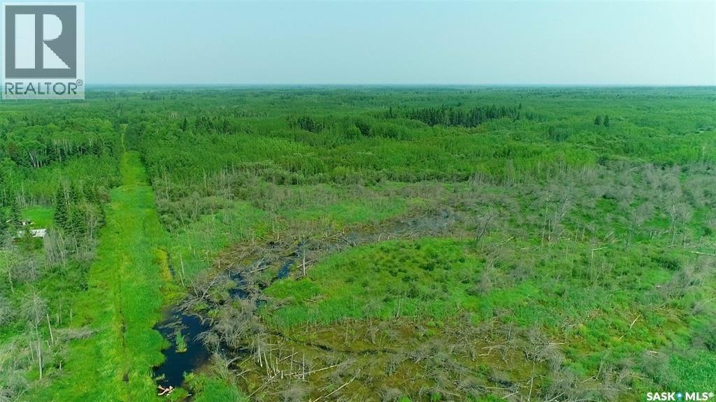 Recreational Quarter Of Land N-E Of White Fox, Torch River Rm No. 488, Saskatchewan  S0J 3B0 - Photo 14 - SK025990