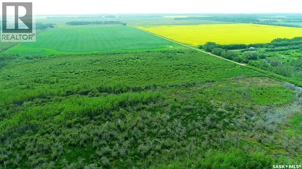 Recreational Quarter Of Land N-E Of White Fox, Torch River Rm No. 488, Saskatchewan  S0J 3B0 - Photo 19 - SK025990