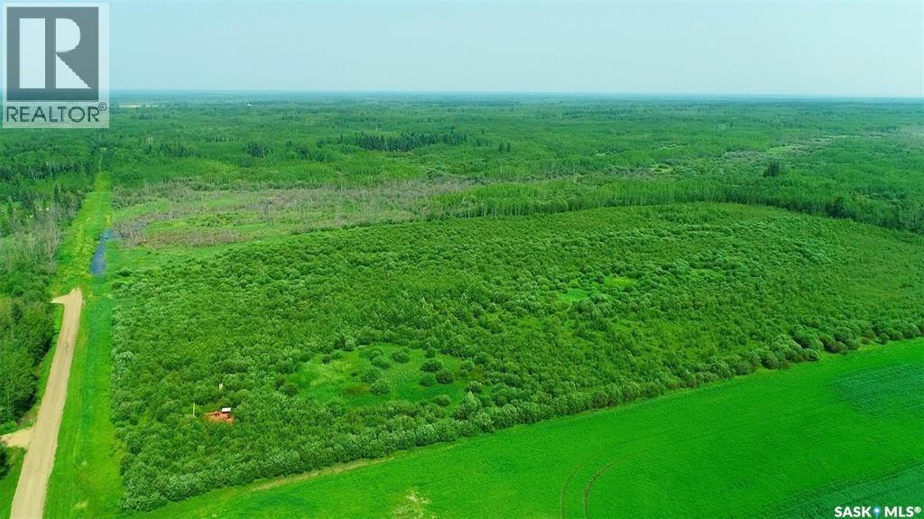 Recreational Quarter Of Land N-E Of White Fox, Torch River Rm No. 488, Saskatchewan  S0J 3B0 - Photo 2 - SK025990