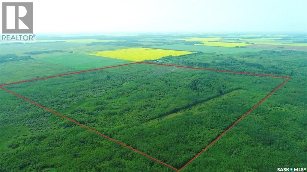Recreational Quarter Of Land N-E Of White Fox, Torch River Rm No. 488, Saskatchewan  S0J 3B0 - Photo 20 - SK025990
