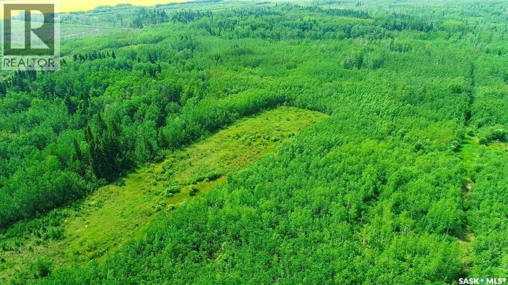 Recreational Quarter Of Land N-E Of White Fox, Torch River Rm No. 488, Saskatchewan  S0J 3B0 - Photo 22 - SK025990