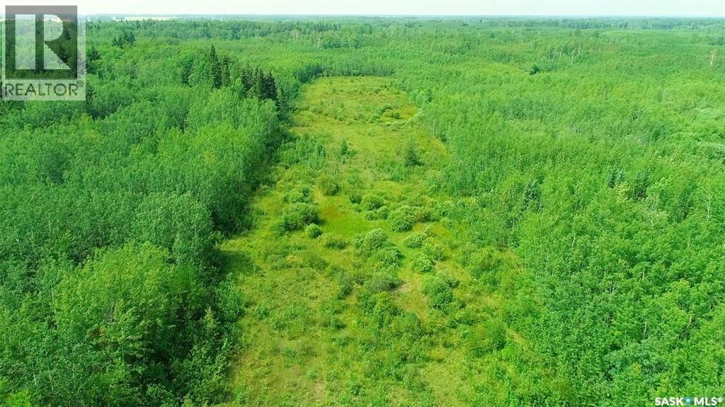 Recreational Quarter Of Land N-E Of White Fox, Torch River Rm No. 488, Saskatchewan  S0J 3B0 - Photo 23 - SK025990