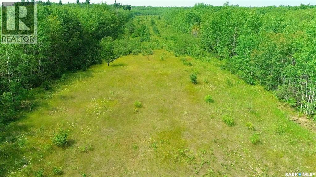 Recreational Quarter Of Land N-E Of White Fox, Torch River Rm No. 488, Saskatchewan  S0J 3B0 - Photo 24 - SK025990