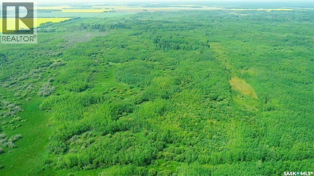 Recreational Quarter Of Land N-E Of White Fox, Torch River Rm No. 488, Saskatchewan  S0J 3B0 - Photo 26 - SK025990