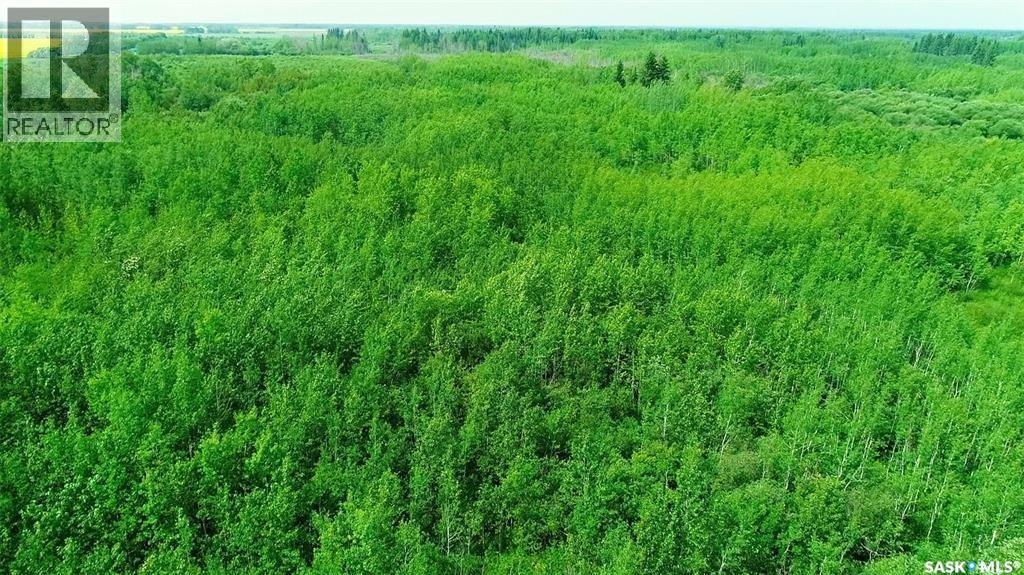 Recreational Quarter Of Land N-E Of White Fox, Torch River Rm No. 488, Saskatchewan  S0J 3B0 - Photo 27 - SK025990