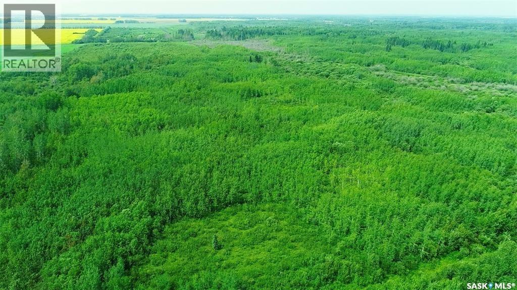 Recreational Quarter Of Land N-E Of White Fox, Torch River Rm No. 488, Saskatchewan  S0J 3B0 - Photo 28 - SK025990