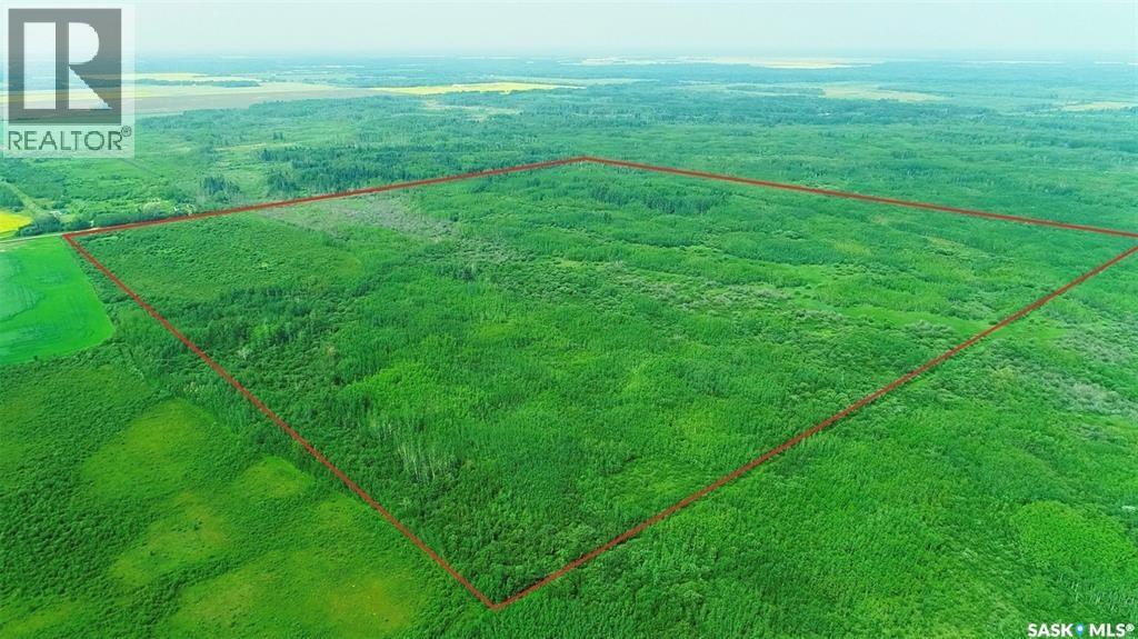 Recreational Quarter Of Land N-E Of White Fox, Torch River Rm No. 488, Saskatchewan  S0J 3B0 - Photo 29 - SK025990