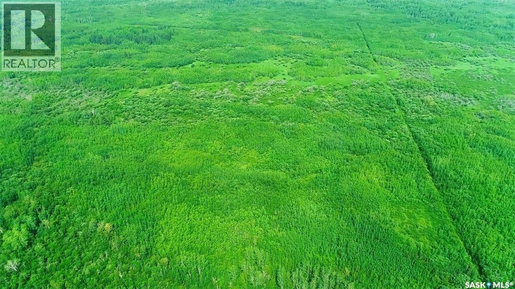 Recreational Quarter Of Land N-E Of White Fox, Torch River Rm No. 488, Saskatchewan  S0J 3B0 - Photo 30 - SK025990