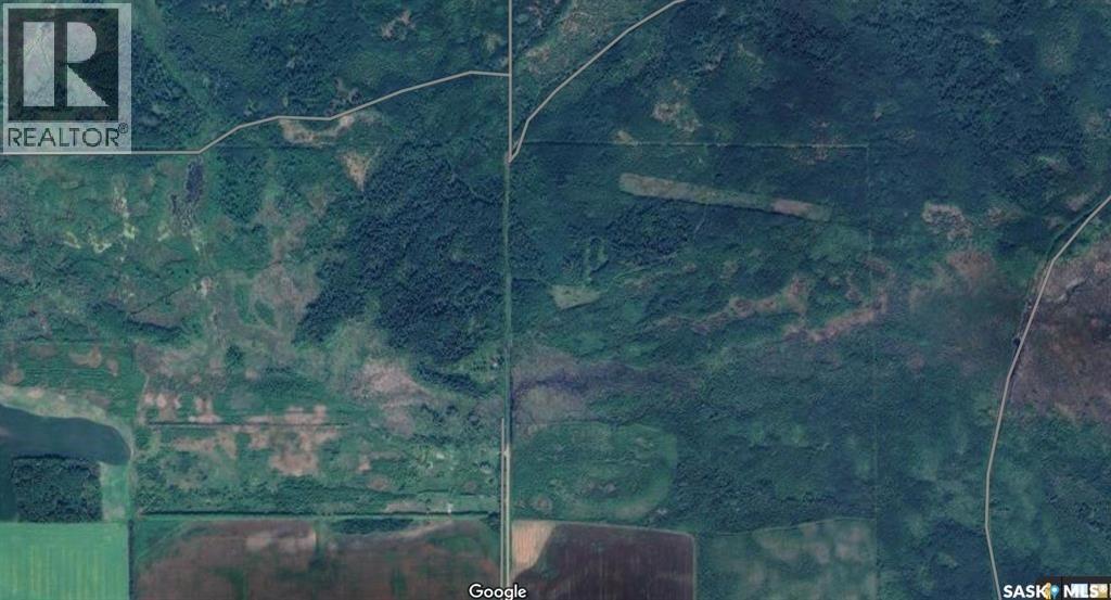 Recreational Quarter Of Land N-E Of White Fox, Torch River Rm No. 488, Saskatchewan  S0J 3B0 - Photo 5 - SK025990