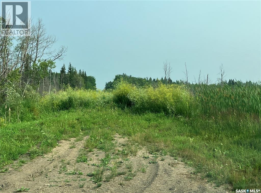 Recreational Quarter Of Land N-E Of White Fox, Torch River Rm No. 488, Saskatchewan  S0J 3B0 - Photo 7 - SK025990