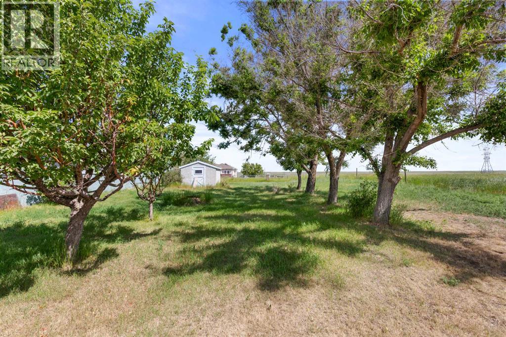 428 6 Street, Suffield, Alberta  T0J 2N0 - Photo 33 - A2251231