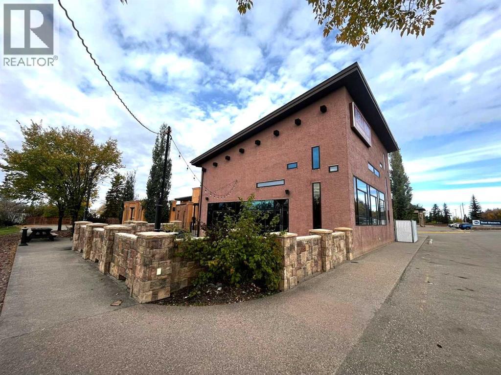 750 2 Street N, Three Hills, Alberta  T0M 2A0 - Photo 4 - A2186988