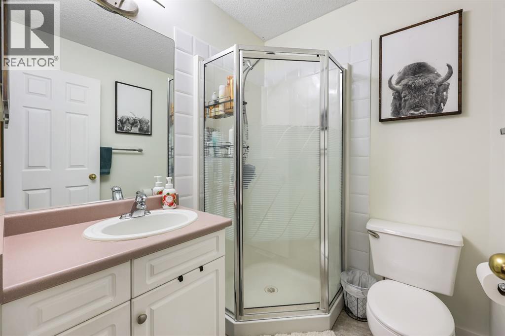 10 Big Springs Hill Se, Airdrie, Alberta  T4A 1N1 - Photo 20 - A2254507