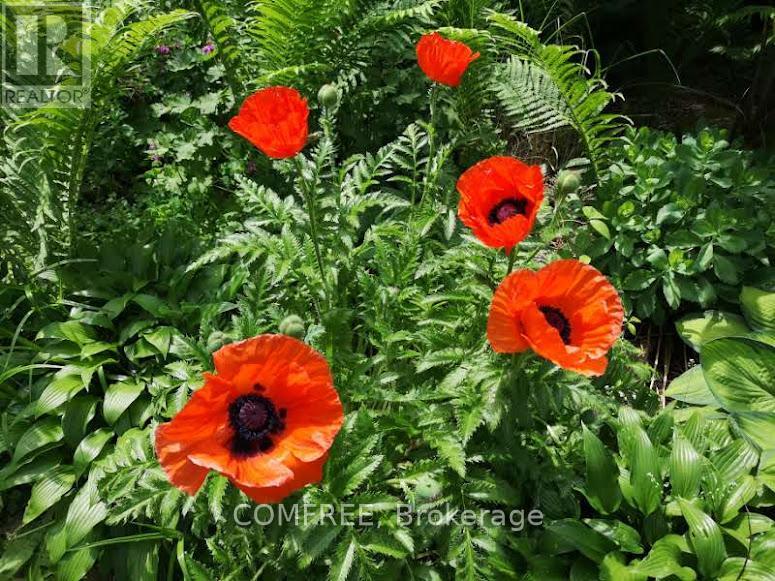 93 Water Street E, Centre Wellington, Ontario  N0B 1S0 - Photo 39 - X12578650