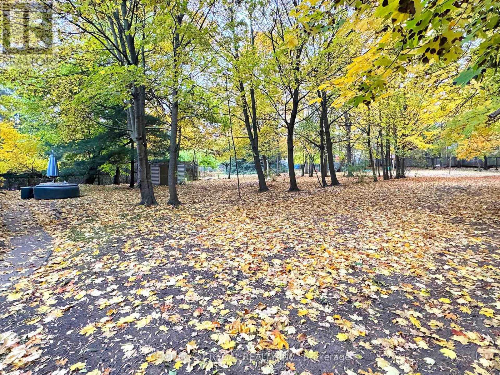 20 West Hill Drive, Toronto, Ontario  M1E 3T5 - Photo 40 - E12654566