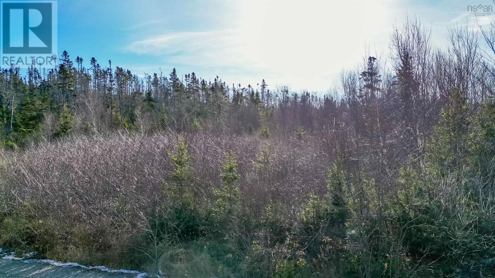 255 Shad Point Parkway, Blind Bay, Nova Scotia  B3Z 4C1 - Photo 5 - 202600001