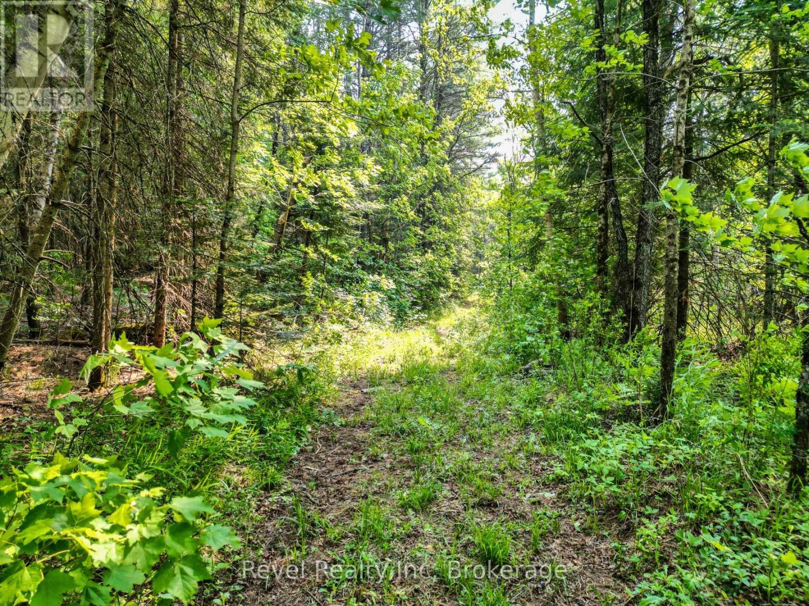 Lot 2 Old Victoria Road, Bracebridge, Ontario  P1L 1X1 - Photo 3 - X12654592