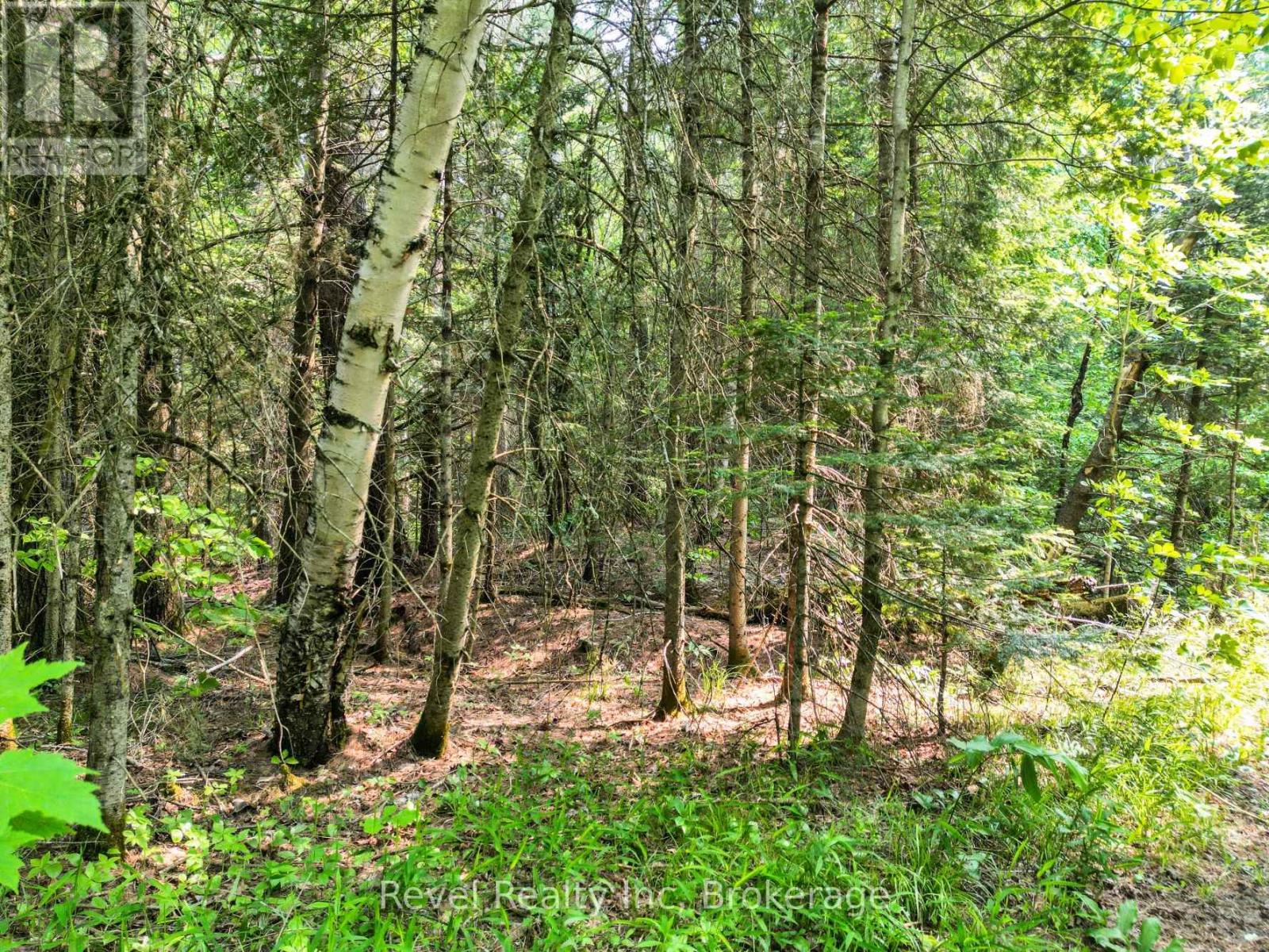 Lot 2 Old Victoria Road, Bracebridge, Ontario  P1L 1X1 - Photo 4 - X12654592