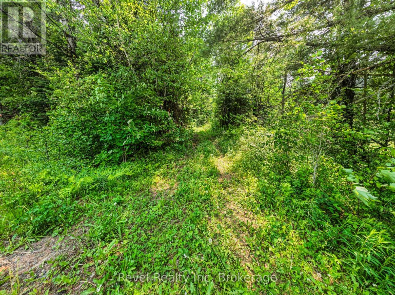 Lot 2 Old Victoria Road, Bracebridge, Ontario  P1L 1X1 - Photo 6 - X12654592