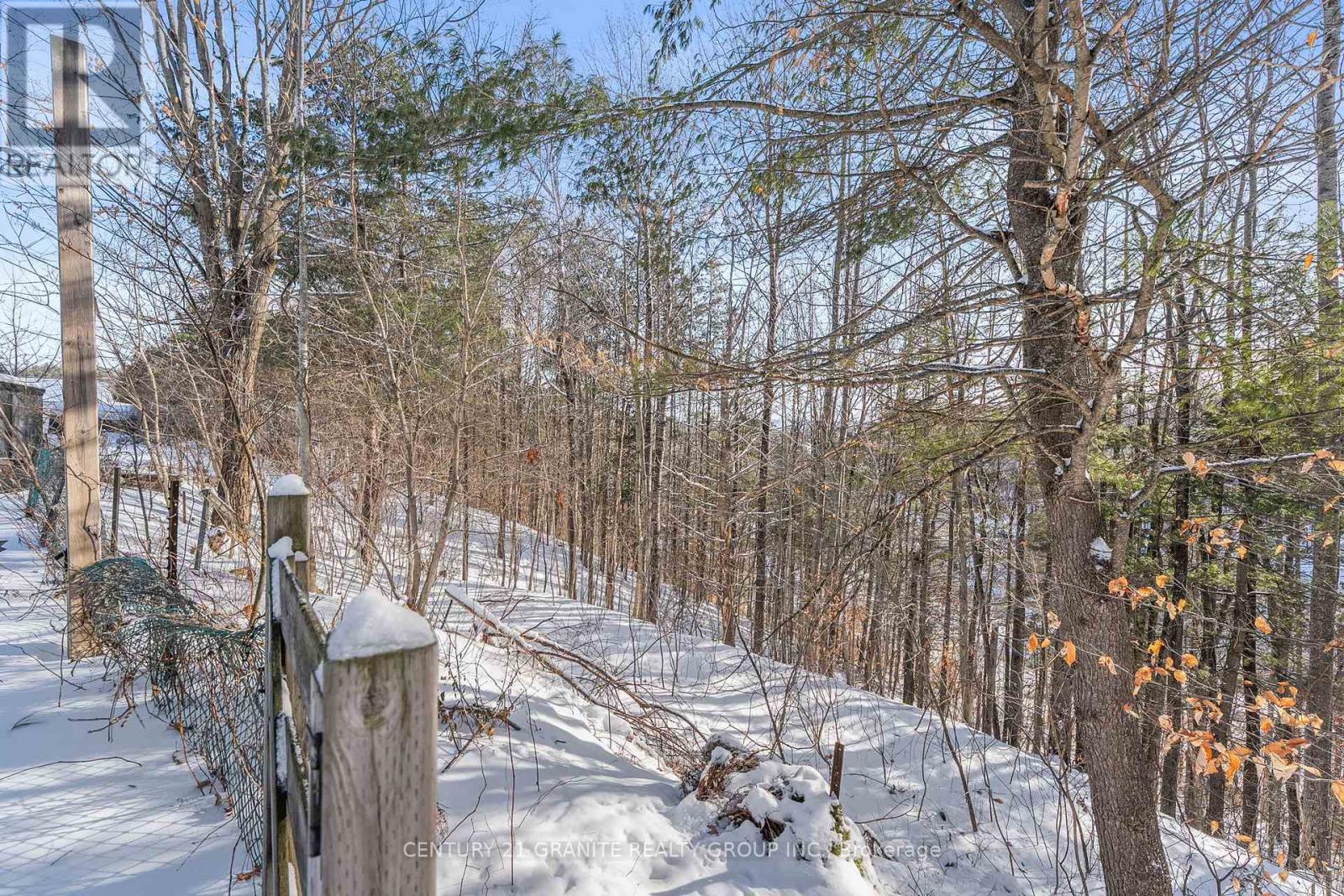 64 Johnston Crescent, Bancroft, Ontario  K0L 1C0 - Photo 42 - X12654678