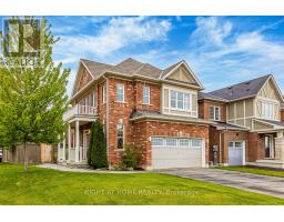 41 STEDFORD CRESCENT, Brampton, Ontario