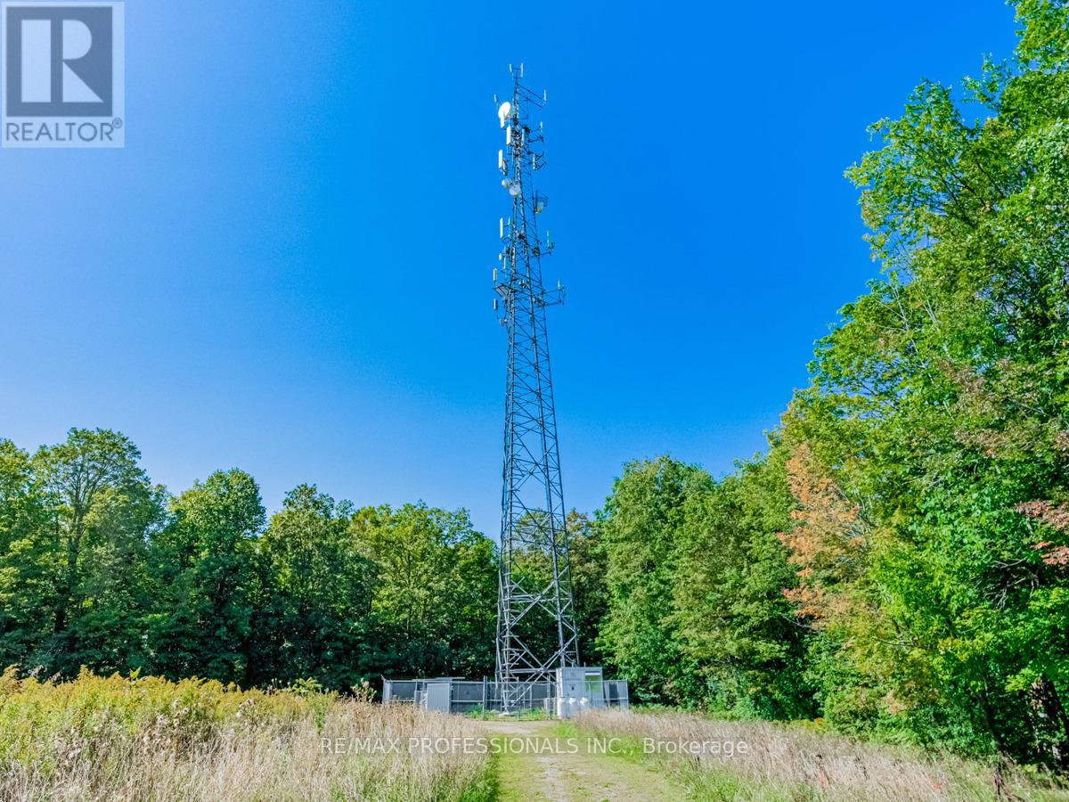 13908 Trafalgar Road, Halton Hills, Ontario  L7G 4S4 - Photo 16 - W12654820