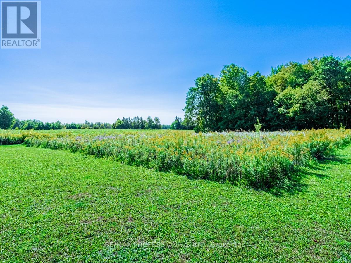 13908 Trafalgar Road, Halton Hills, Ontario  L7G 4S4 - Photo 21 - W12654820