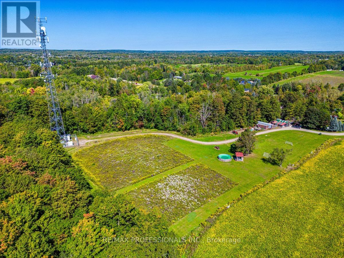 13908 Trafalgar Road, Halton Hills, Ontario  L7G 4S4 - Photo 3 - W12654820