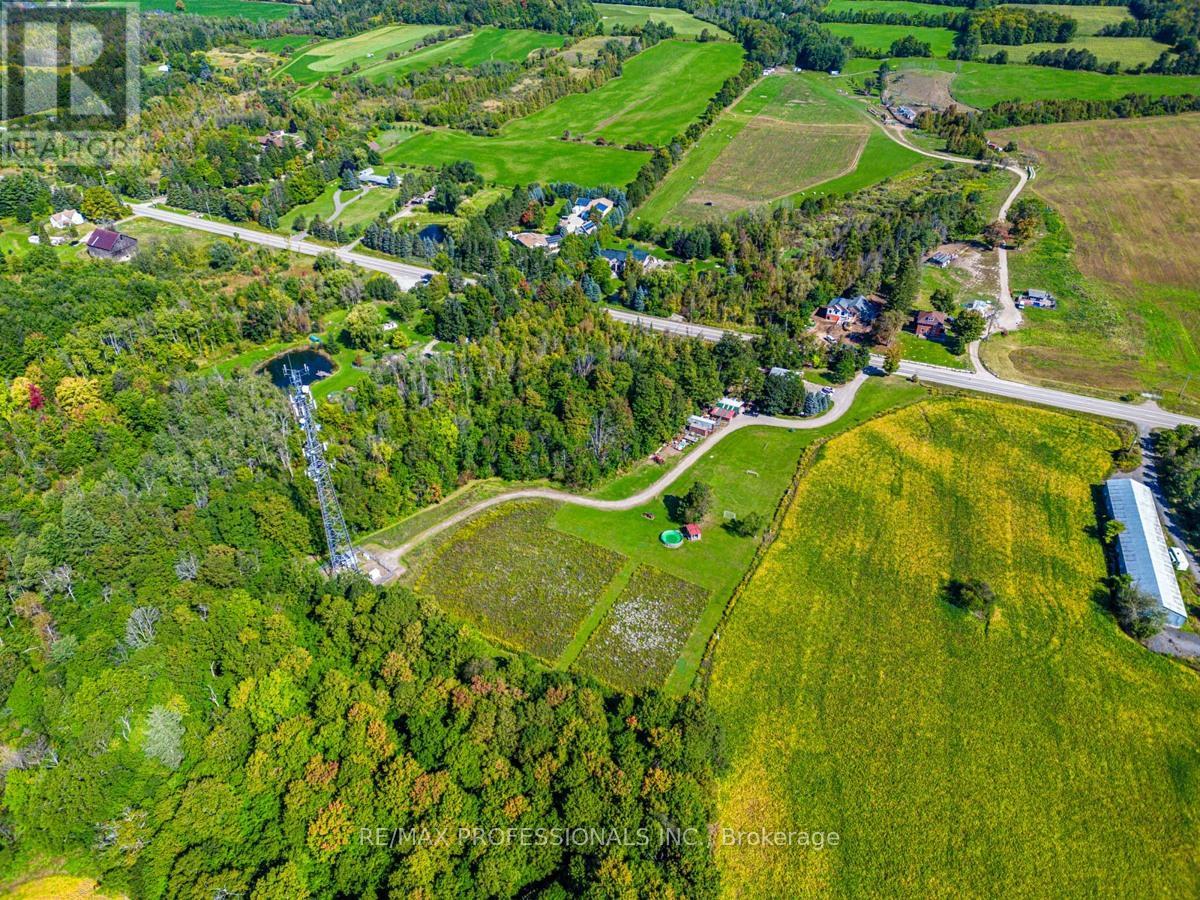 13908 Trafalgar Road, Halton Hills, Ontario  L7G 4S4 - Photo 7 - W12654820