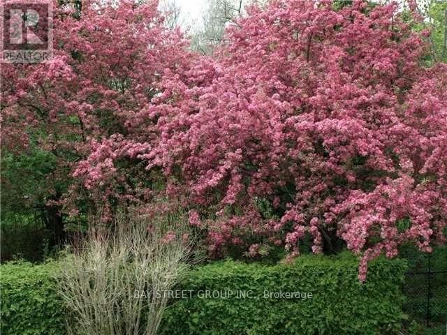 1390 Hastings Road, Oakville, Ontario  L6H 2Y1 - Photo 20 - W12654824