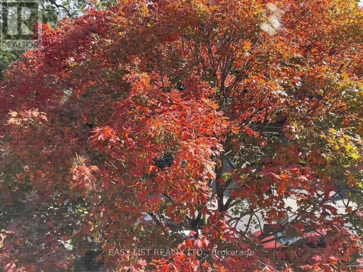 76 Dunn Avenue, Toronto, Ontario  M6K 2R6 - Photo 39 - W12655006