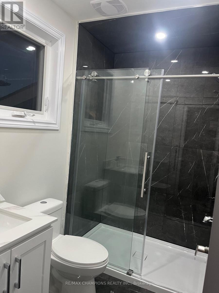 249 Centre Street N, Brampton, Ontario  L6V 2R3 - Photo 21 - W12655020